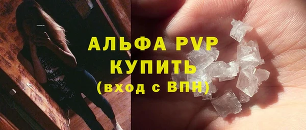 стафф Арсеньев