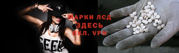 стафф Арсеньев