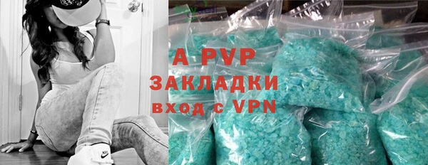 стафф Арсеньев