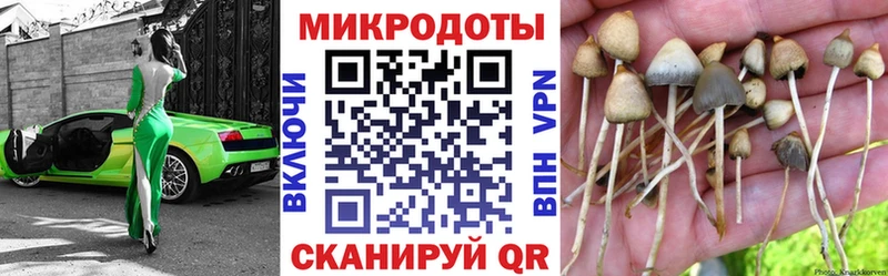 цена наркотик  Вельск  Галлюциногенные грибы ЛСД 