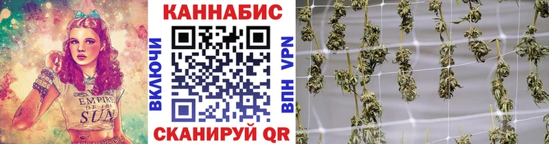 Бошки марихуана SATIVA & INDICA  Вельск 